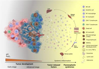 Frontiers | The Systemic-level Repercussions Of Cancer-associated ...